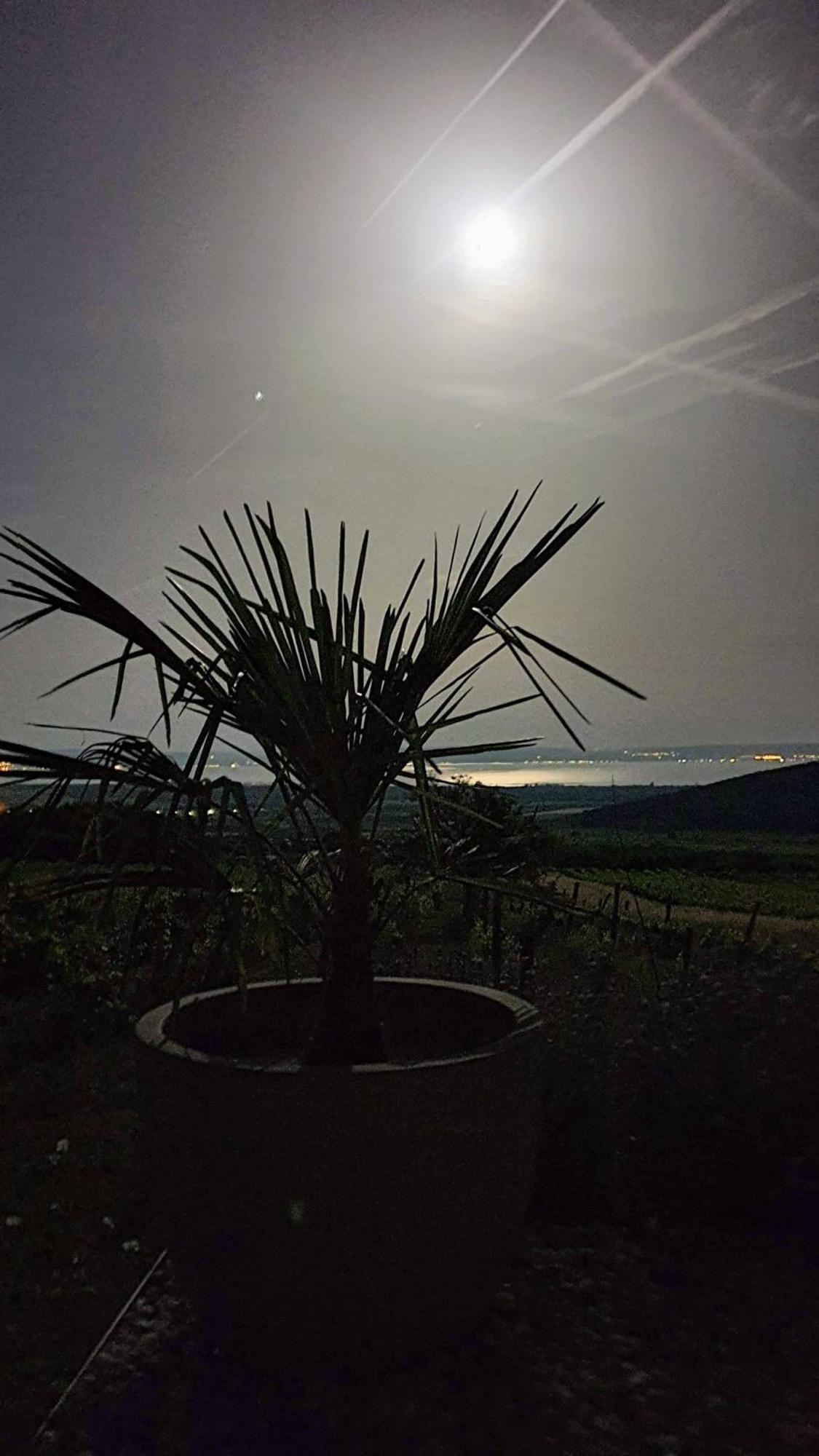 Вилла Panorama, Balaton Дёргиче Экстерьер фото